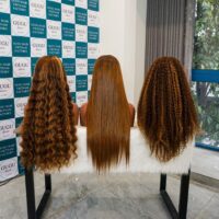 Wigs Hair