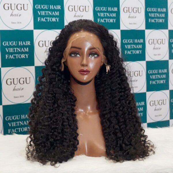 vietnamese-raw-hair-wigs-burmese