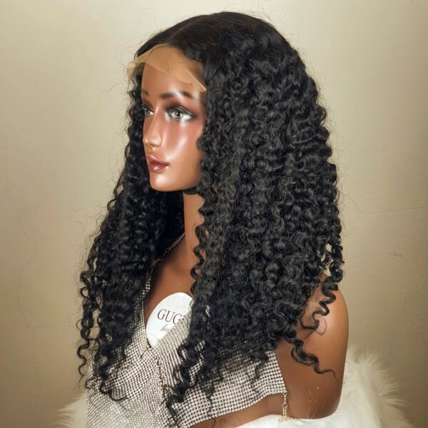 Burmese Curly Brown
