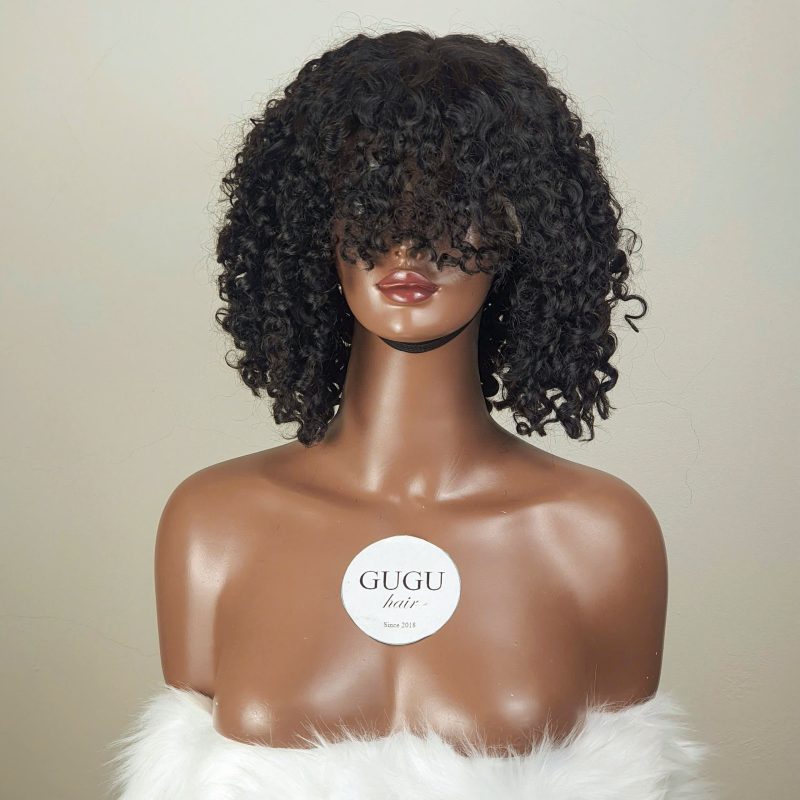 Vietnamese virgin hair wigs