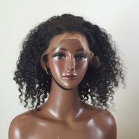 Burmese Pixie Curly Lace Front Wigs Deep Wave HD Frontal