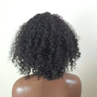 Burmese Pixie Curly Lace Front Wigs Deep Wave HD Frontal