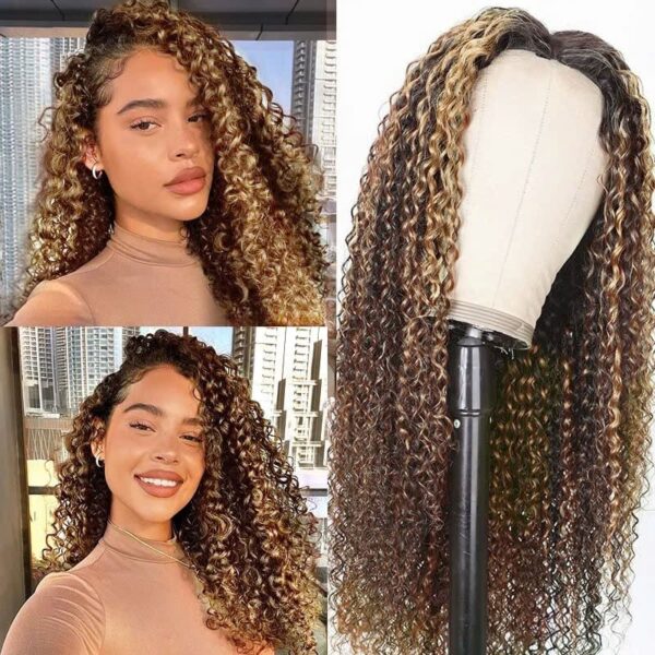 Kinky Curly Wig
