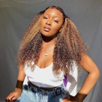 Kinky Curly Wig