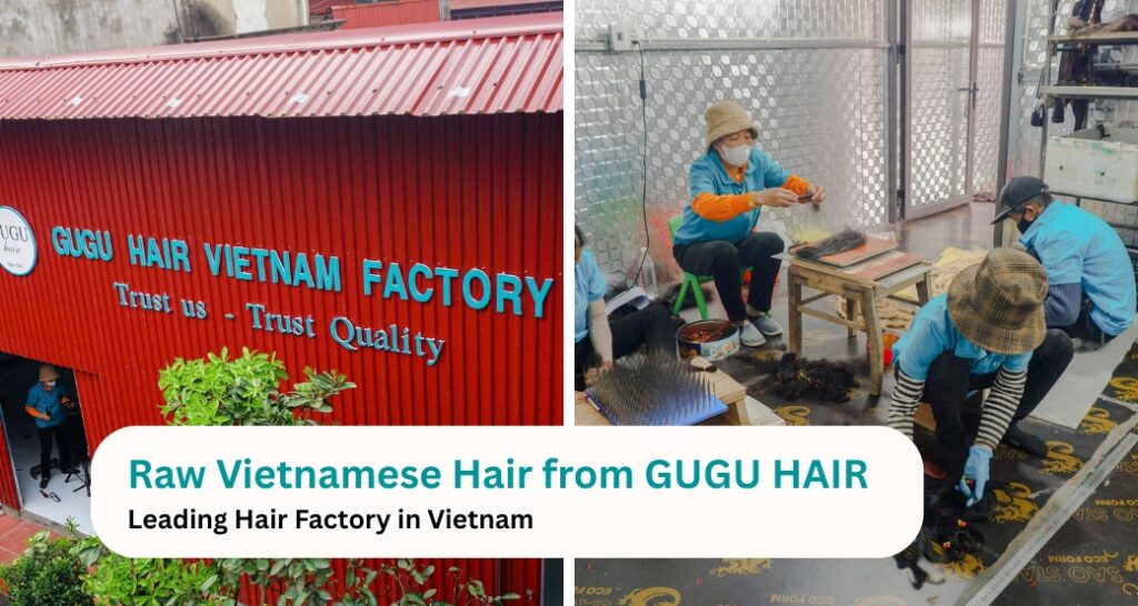 Raw Vietnamese Hair from GUGU HAIR – Leading Hair Factory in Vietnam 3 Raw Vietnamese Hair from GUGU HAIR