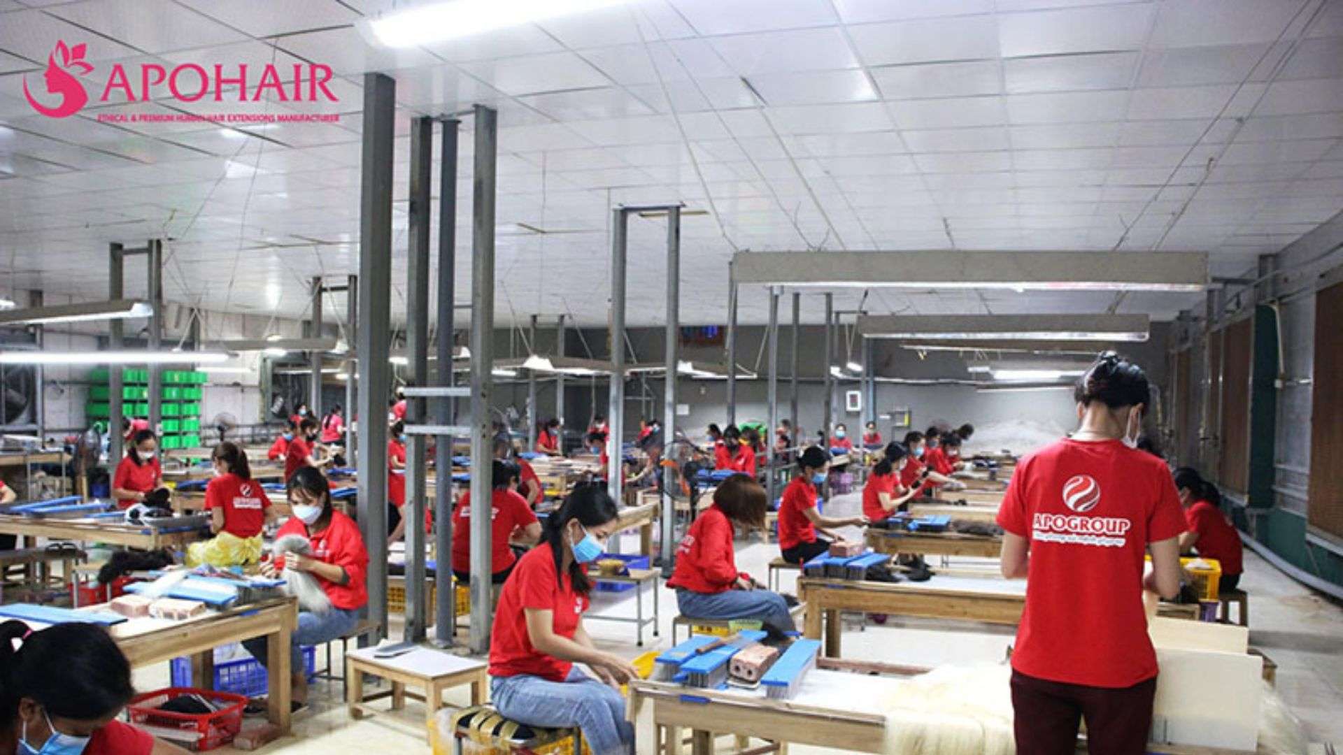 Apohair OEM & ODM Services