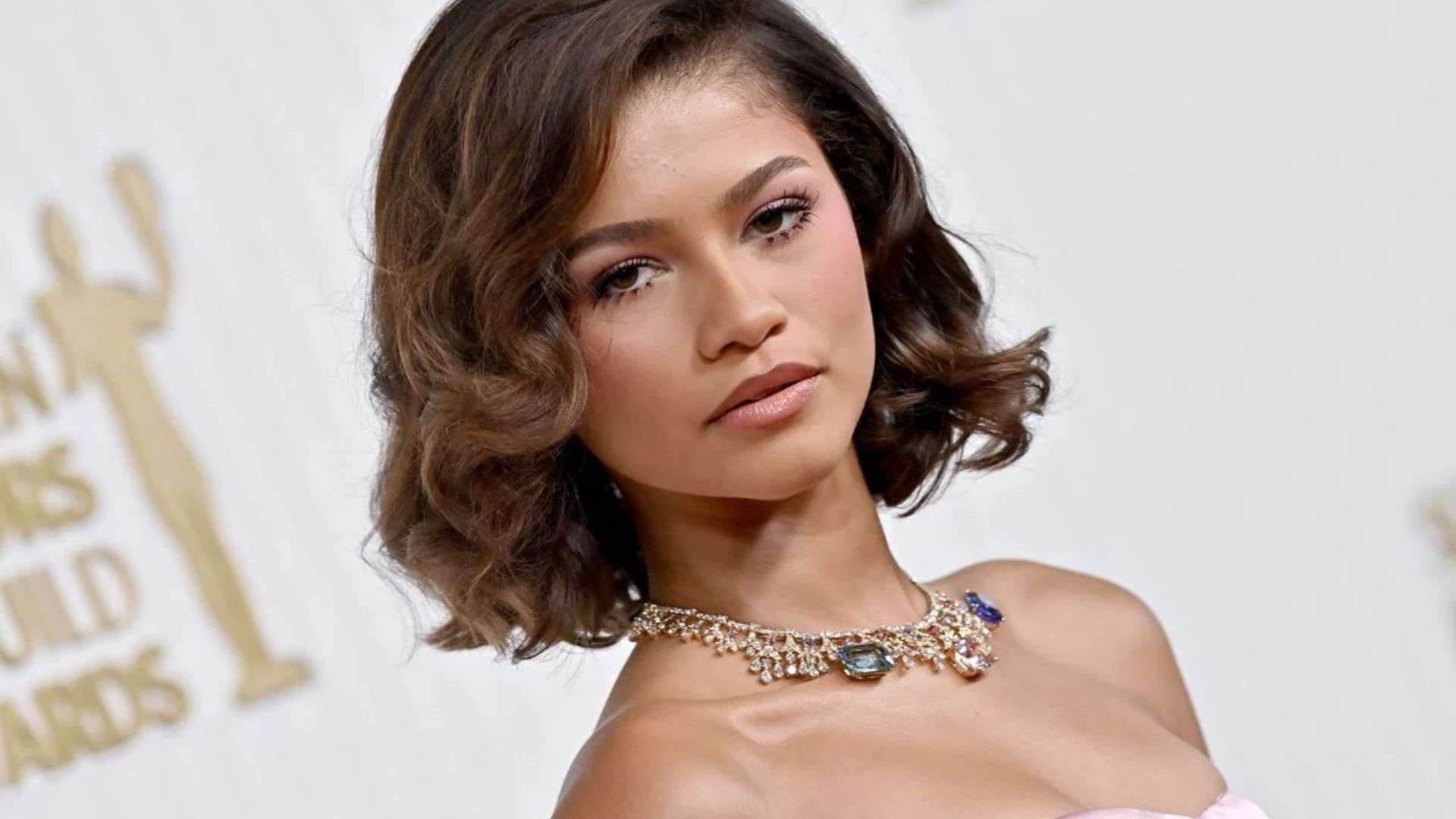 Wigs in Hollywood: Celebrities Who Rock Them Best 5 4. Zendaya – Versatility and Red Carpet Glam