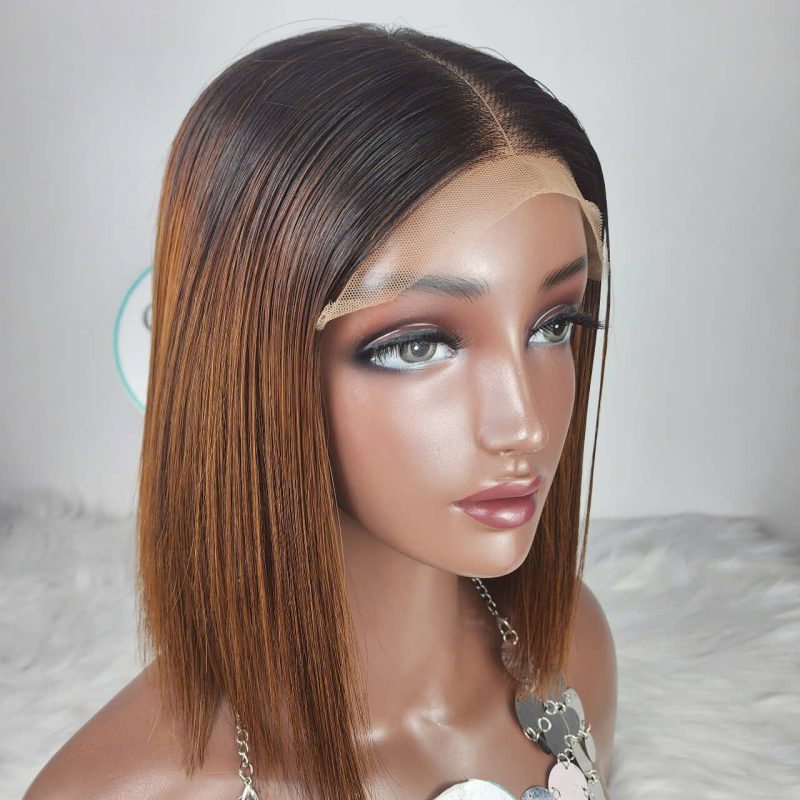 OMBRE: 10 Inch Bob Wig Human Hair