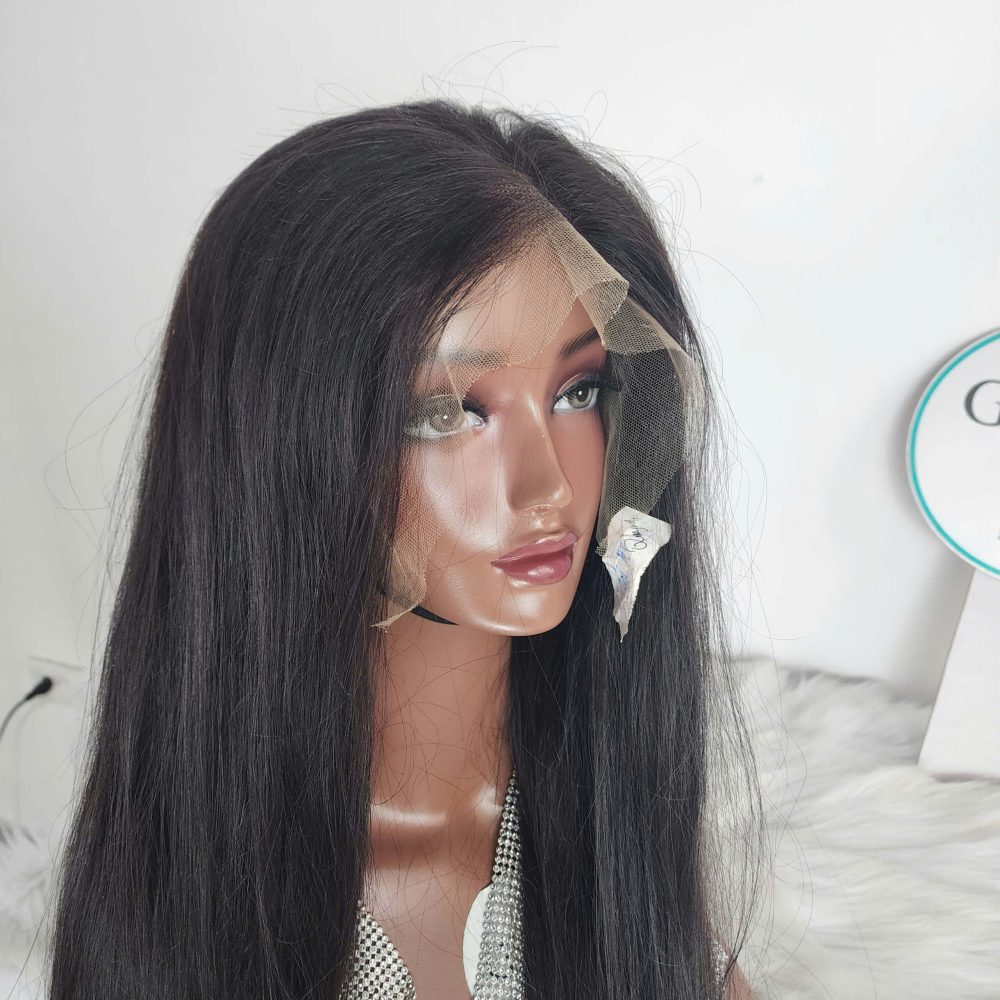 HD RAW Vietnamese Straight Hair Frontal Wig – Raw Human Hair Wigs