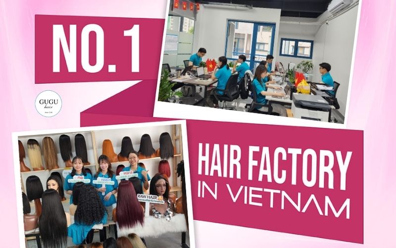 Premium Vietnamese Hair Supplier for Congo