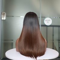 22 Inch Bone Straight Vietnamese Human Hair – Premium Quality from GUGUHAIR 3 20-inch-ombre-bone-straight-human-hair-wig-vietnam
