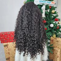 Burmese Curly Wig HD Lace 13x4 Frontal Raw Vietnamese Human Hair 3 Burmese Curly HD Lace 13x4 Frontal Raw Vietnamese Human Hair