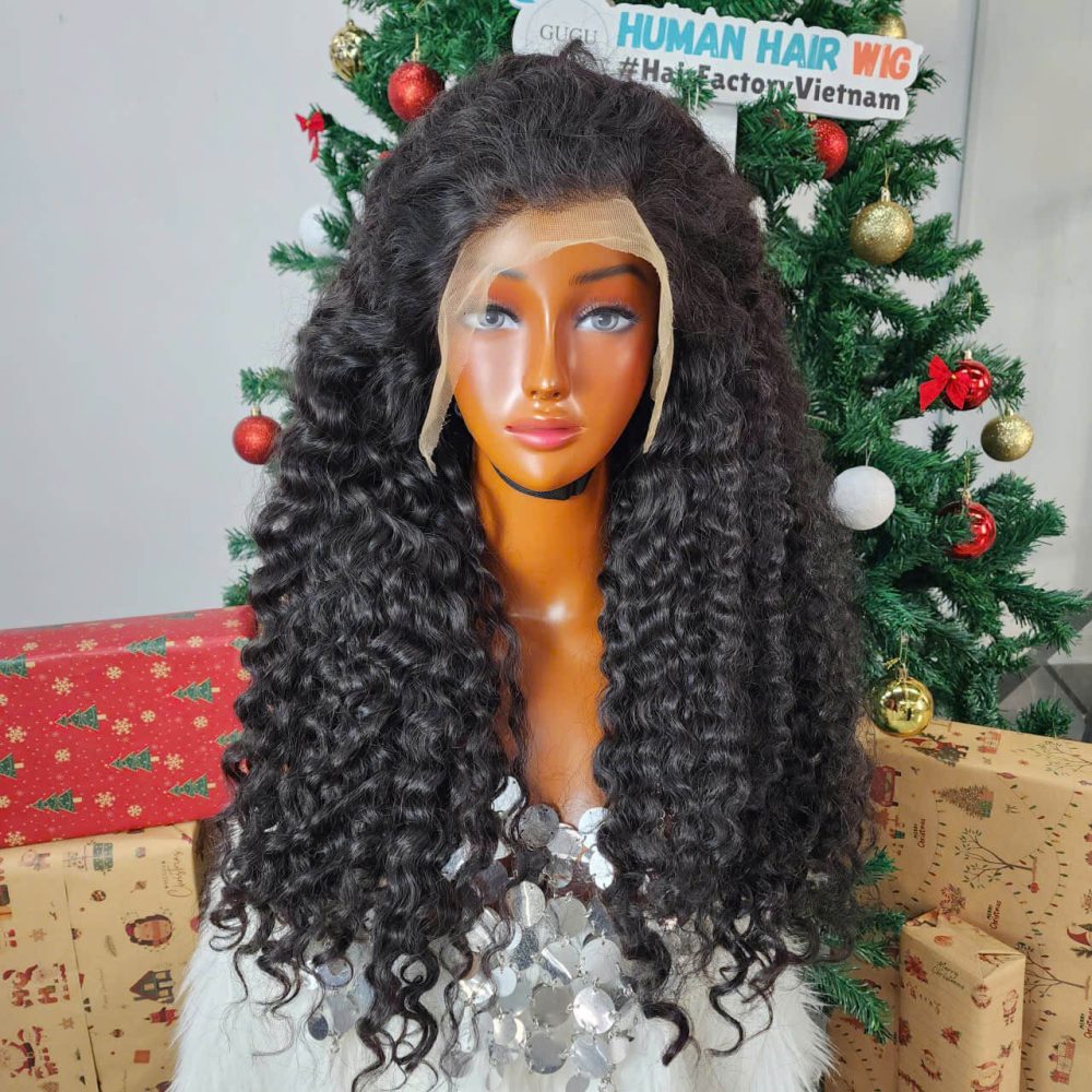Burmese Curly HD Lace 13x4 Frontal Raw Vietnamese Human Hair