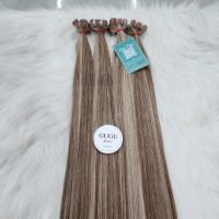 Vietnamese Tape-In Hair Extensions