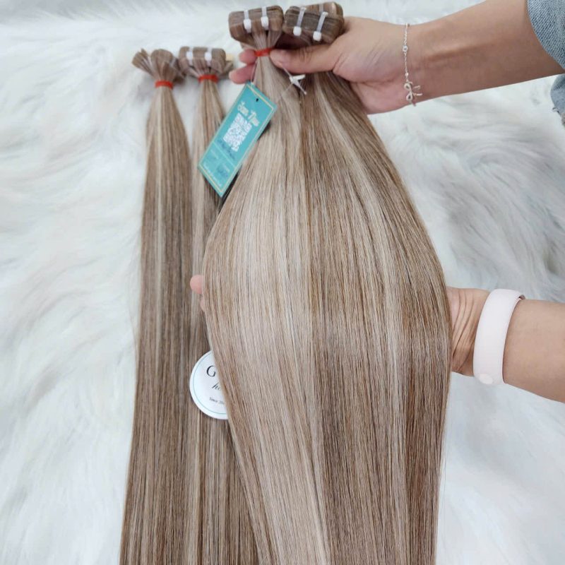 Vietnamese Tape-In Hair Extensions