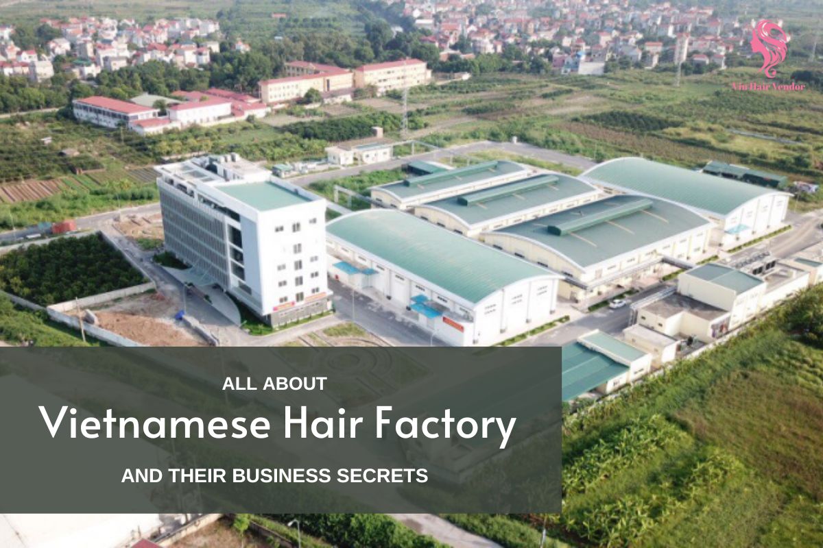 Top Vietnamese Hair Factory in USA Market – 100% Raw Human Hair