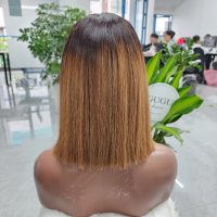10 Inch Glueness Bob Wig Bone Straight Ombre Raw Vietnamese Human Hair