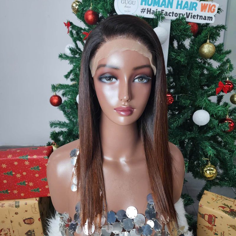 Gluness Bone Straight Ombre Raw Vietnamese Human Hair Wig