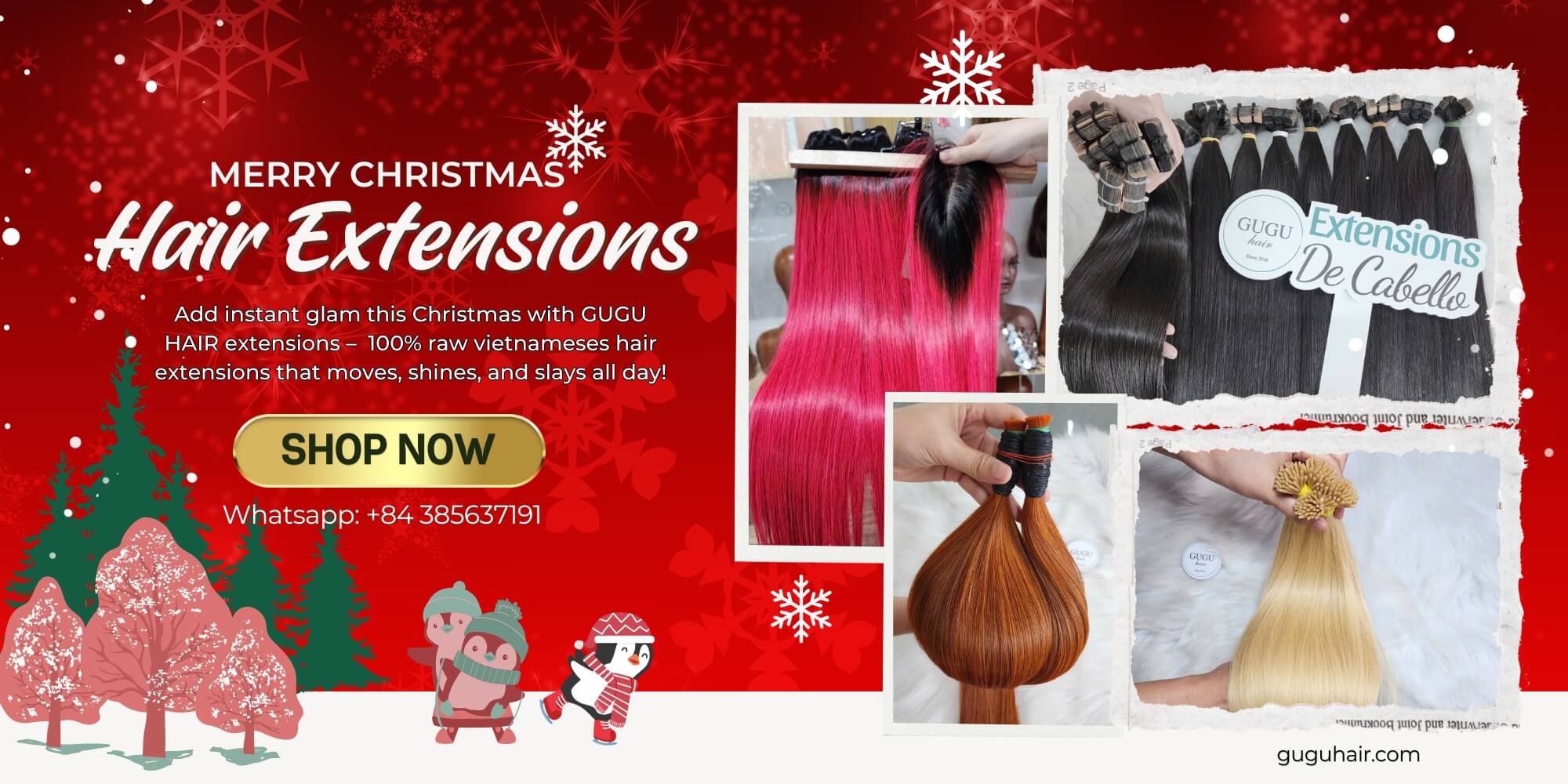 raw vietnamese hair extensions