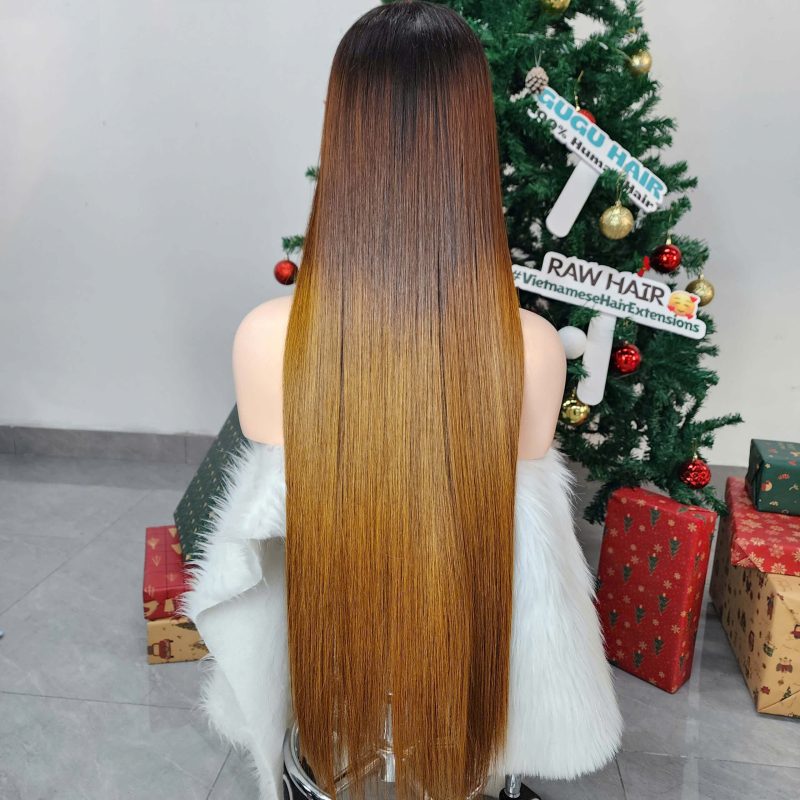 28 Inches Bone Straight Wig Ombre Color Raw Vietnamese Hair