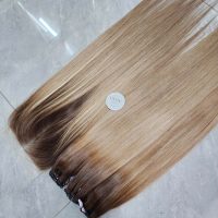 Premium Ombre Blonde Raw Vietnamese Human Hair
