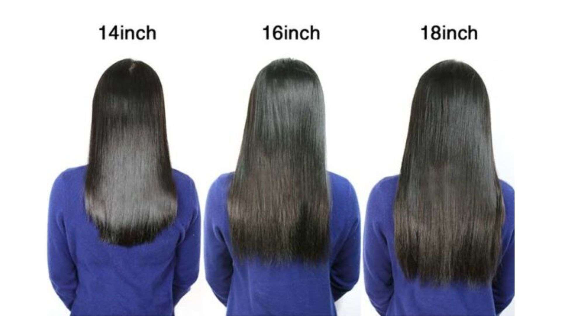 14 Inch Wig vs 16 Inch Wig Which Length Looks More Natural