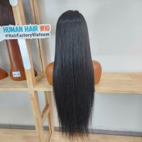 Long Bone Straight Vietnamese Human Hair Wig – HD Transparent Lace Front | GUGU Hair