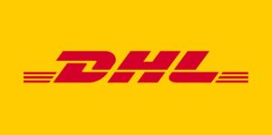 worldwide-shipping-human-hair-wig