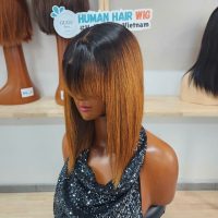 Short Wigs Human Hair Ombre brown Color