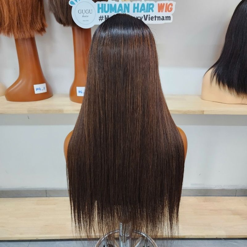 Ombre Bone Straight Human Hair Wigs Lace Sdd Vietnam, Lace Wig