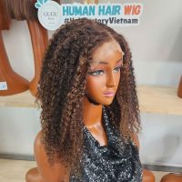 427 Highlight Burmese Curly Hair Bundles Human Hair Wig