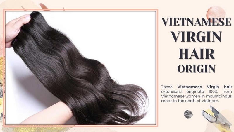 Virgin Vietnamese Hair: Premium Quality, Raw Hair & Trusted Vietnamese Hair Suppliers