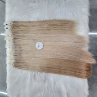 Premium #1001 H6 Feather Hair Extensions