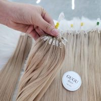 Premium #1001 H6 Feather Hair Extensions