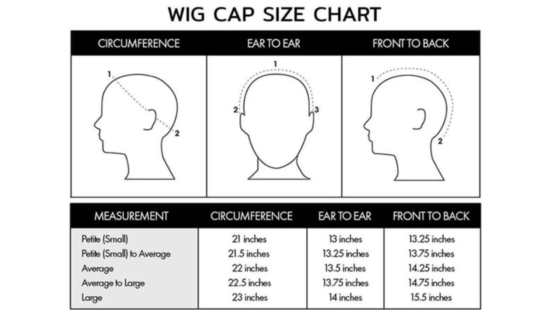 Medium – Average Size