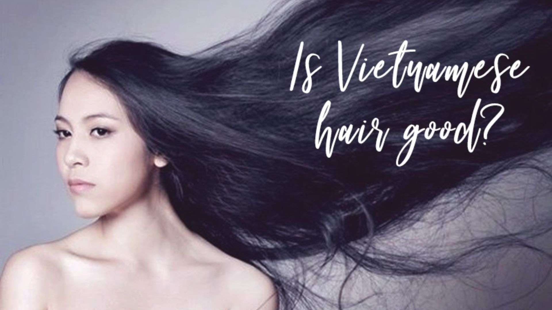 vietnamese human hair wig