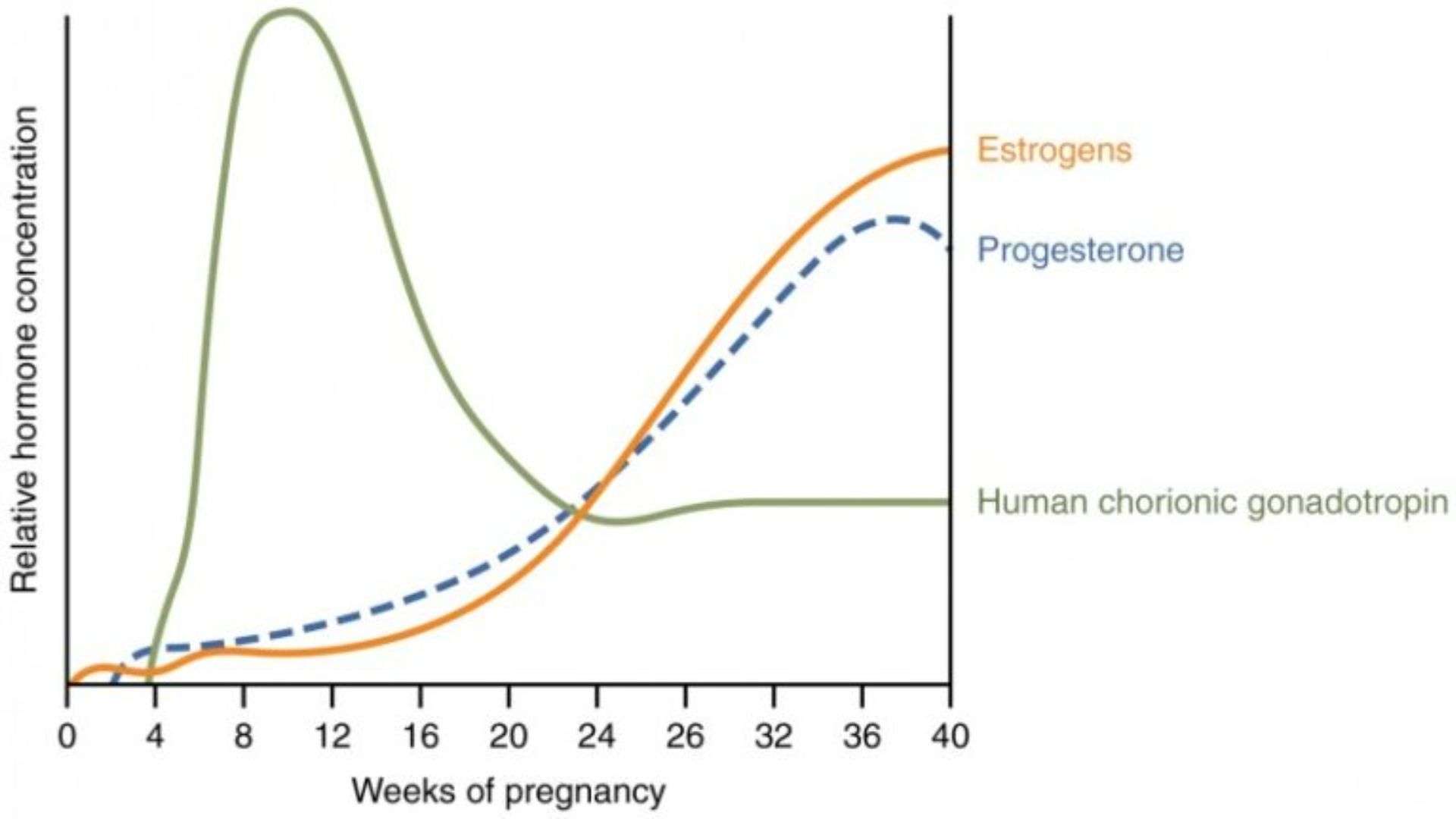 Hormonal Changes