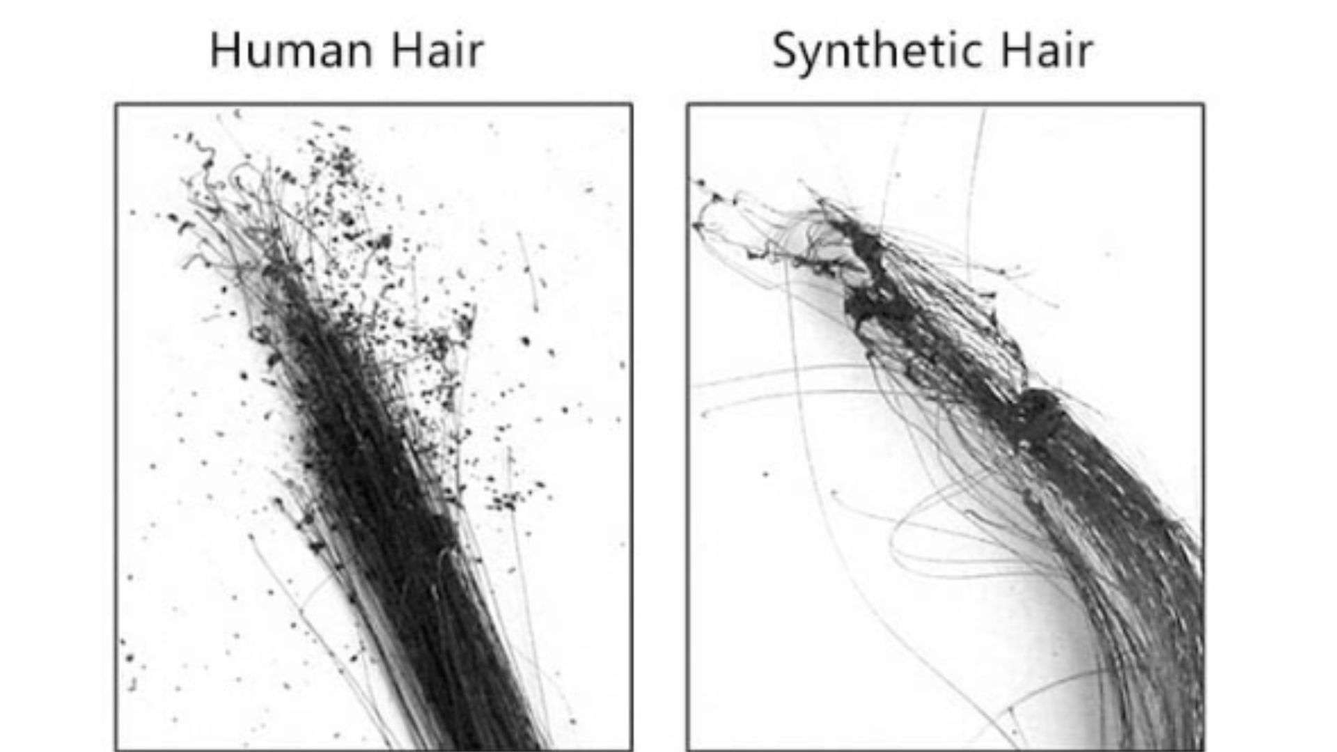 Vietnamese Human Hair Wigs – Quality More Than You Think 5 How can you tell if a human hair wigs is real