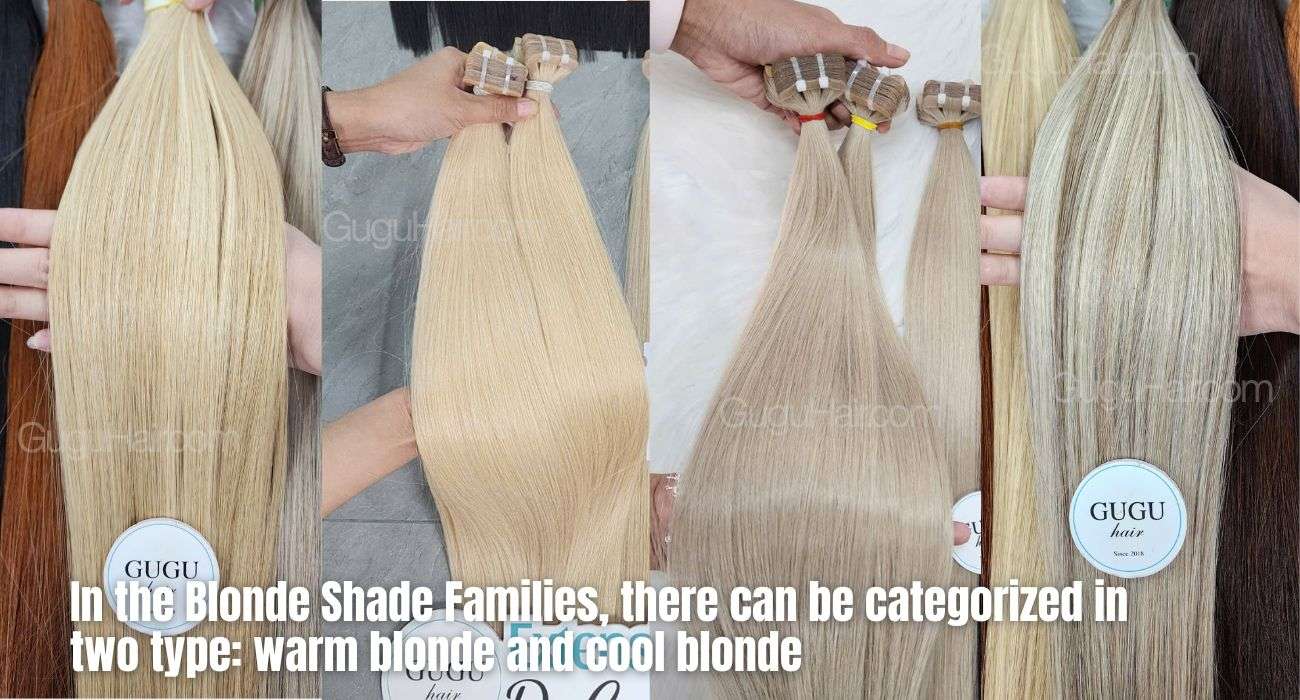 Blonde tape in hair extensions: 2 Shade Family, Matching and Buying Guide 1 Understand the main blonde shade families before choosing blonde tape-in hair extensions