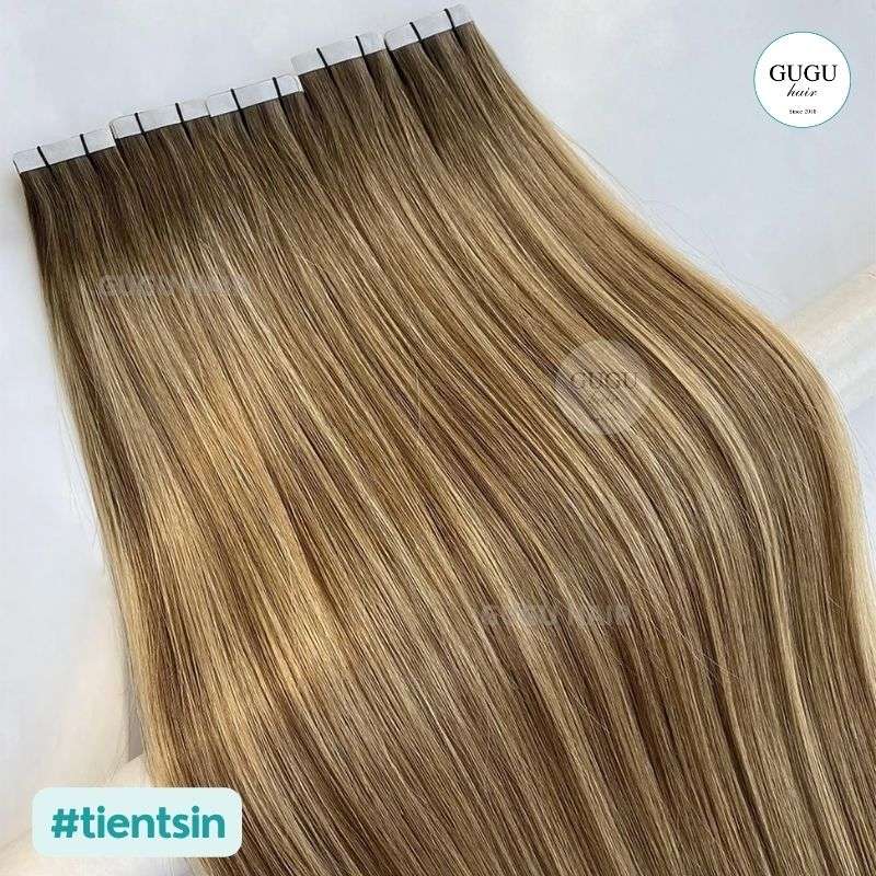 tape ins hair extensions tientsin color